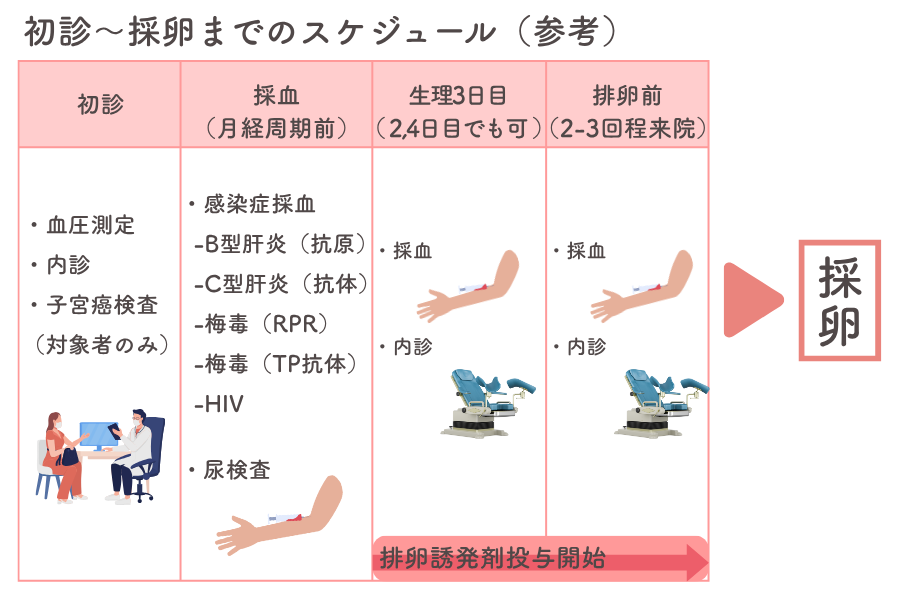 採卵までのスケジュール（参考）