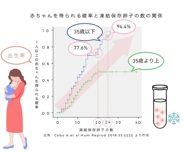 赤ちゃんを得られる確率と凍結保存卵子の数の関係