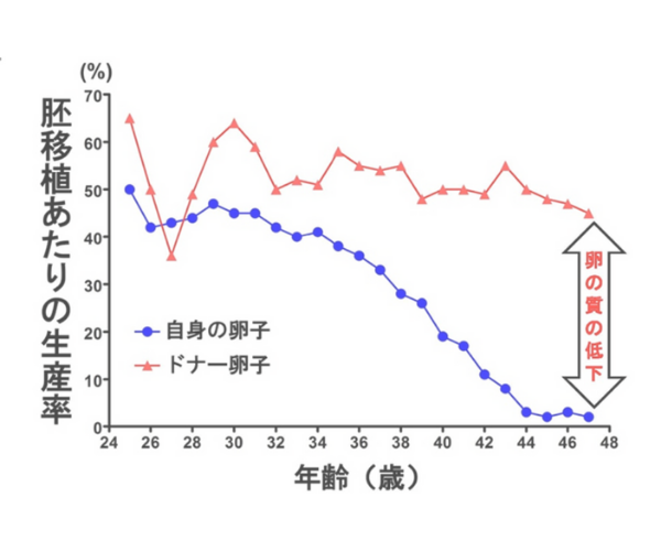 胚移植あたりの生産率と年齢の関係