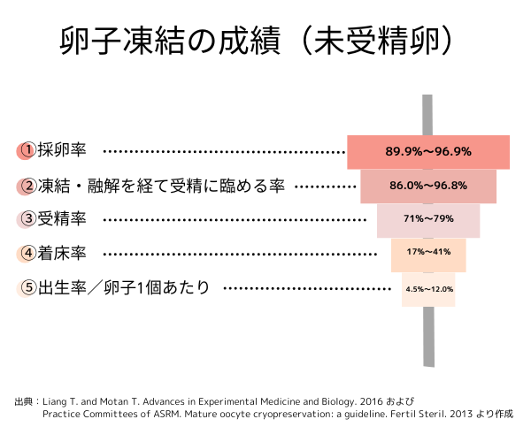 卵子凍結の成績