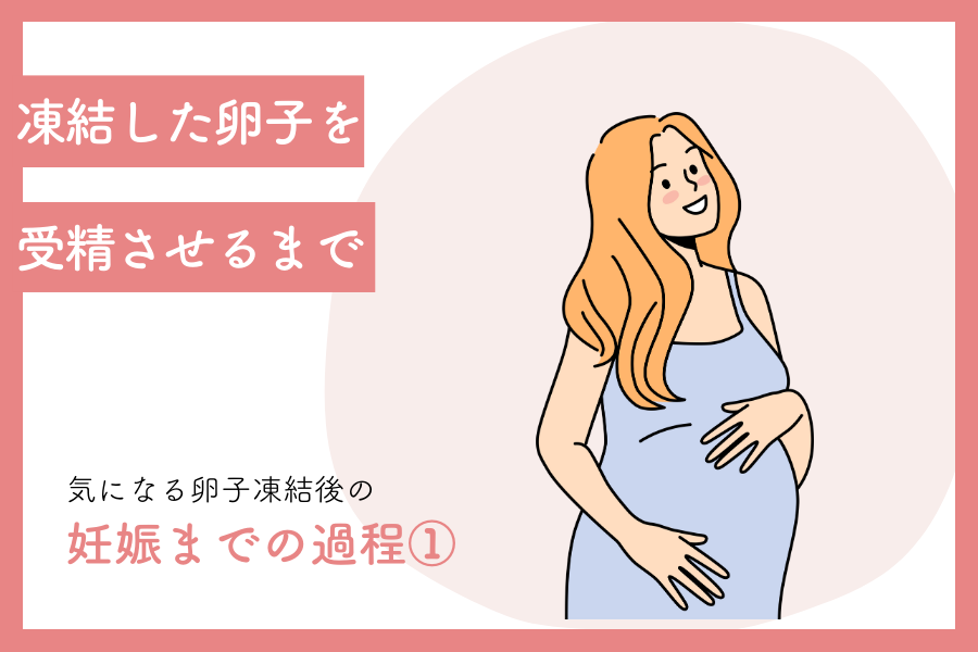 凍結した卵子を受精させるまで